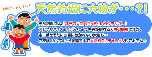 天然釣堀に大物が…?!
