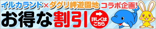 イルカランド×ダグリ岬遊園地コラボ企画