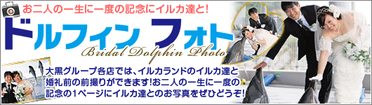 ドルフィンフォト