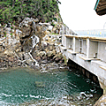 天然釣り堀