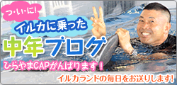 イルカに乗った中年ブログ