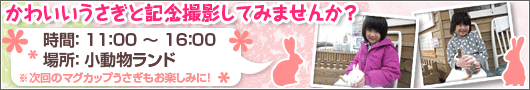 マグカップうさぎと記念撮影